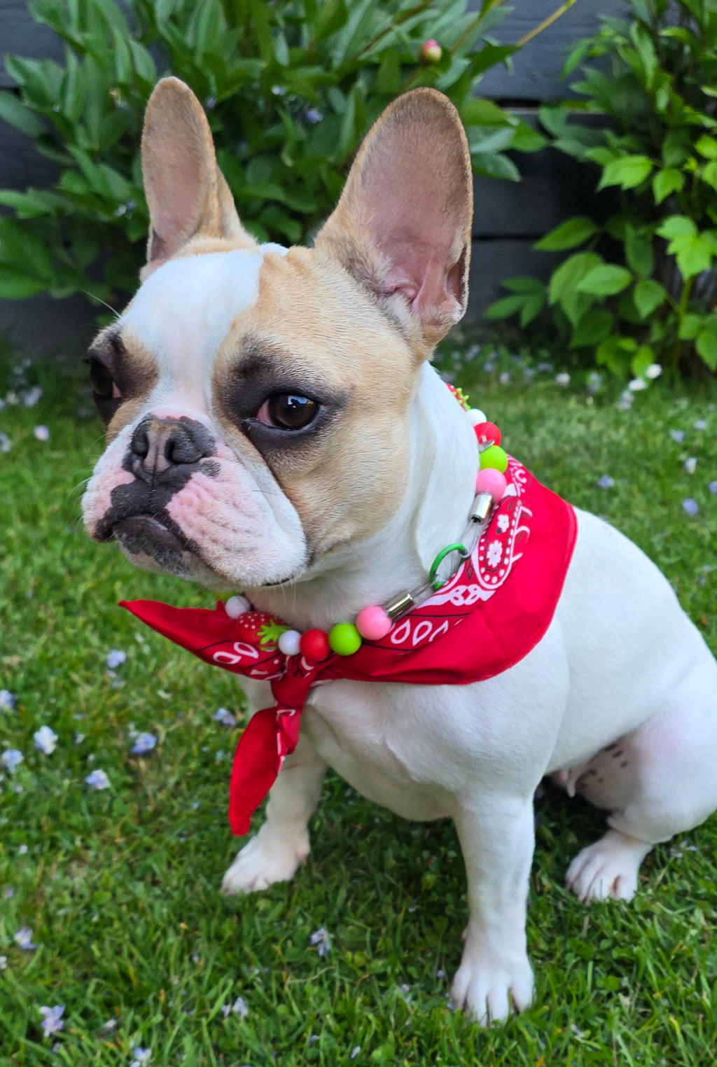 Bandanas Tendance – 20 Coloris