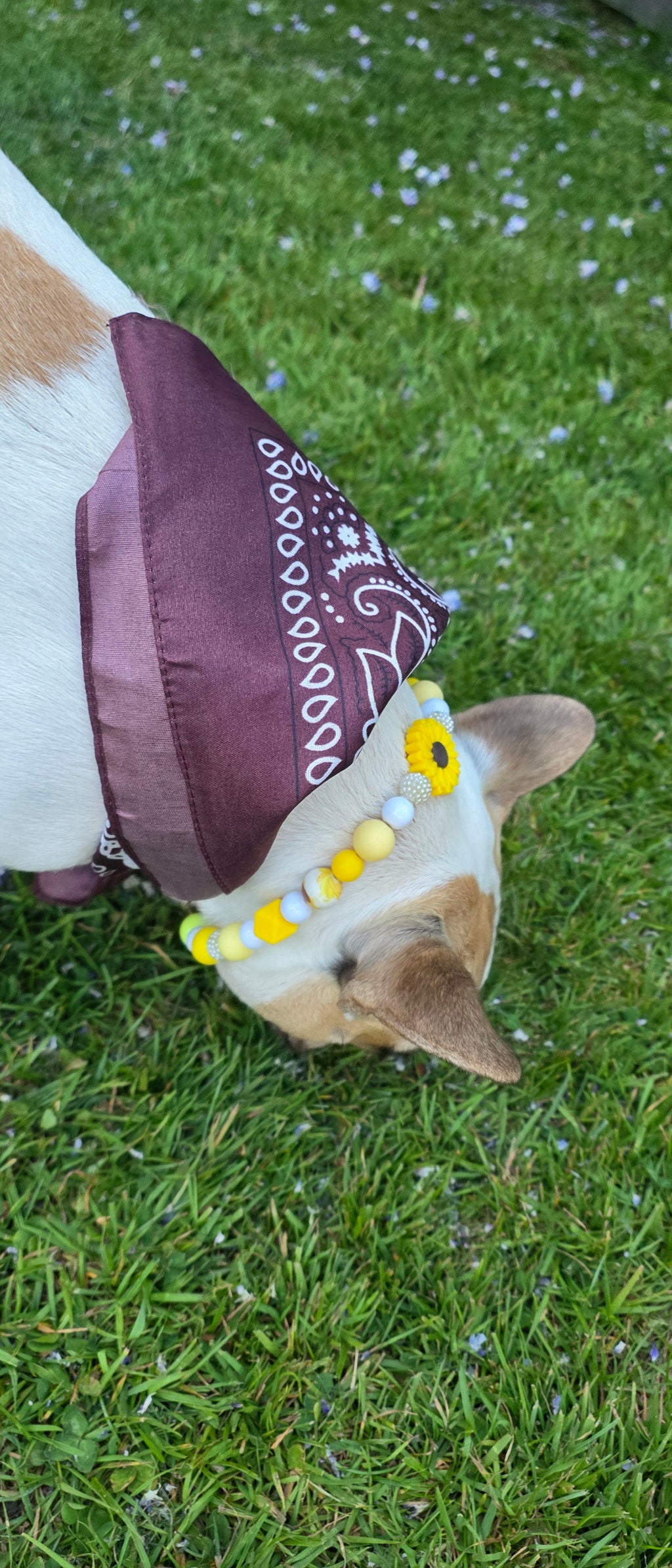 Bandanas Tendance – 20 Coloris