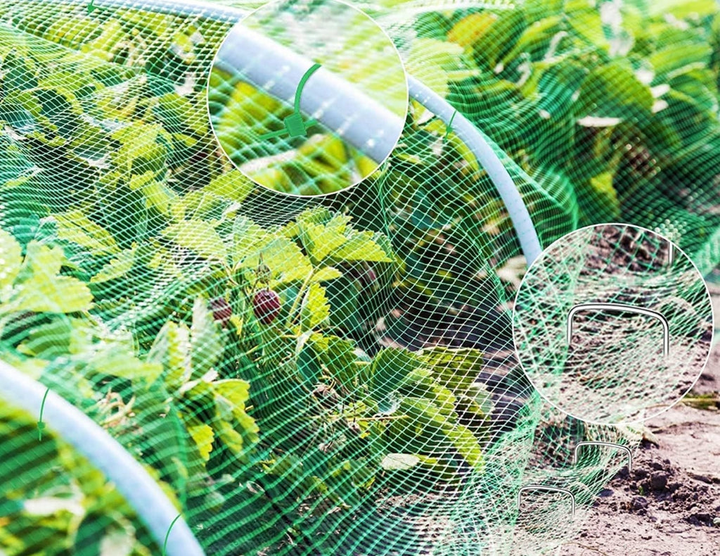 Filet Anti Oiseaux 2m x 15m , Kit de Filets pour Jardin avec 50 Attaches Et 10 Piquets, Polyvalent Filet Protection Fraisier, pour Fruits, Graines, Couverture de Bassin, Clôture de Plantes