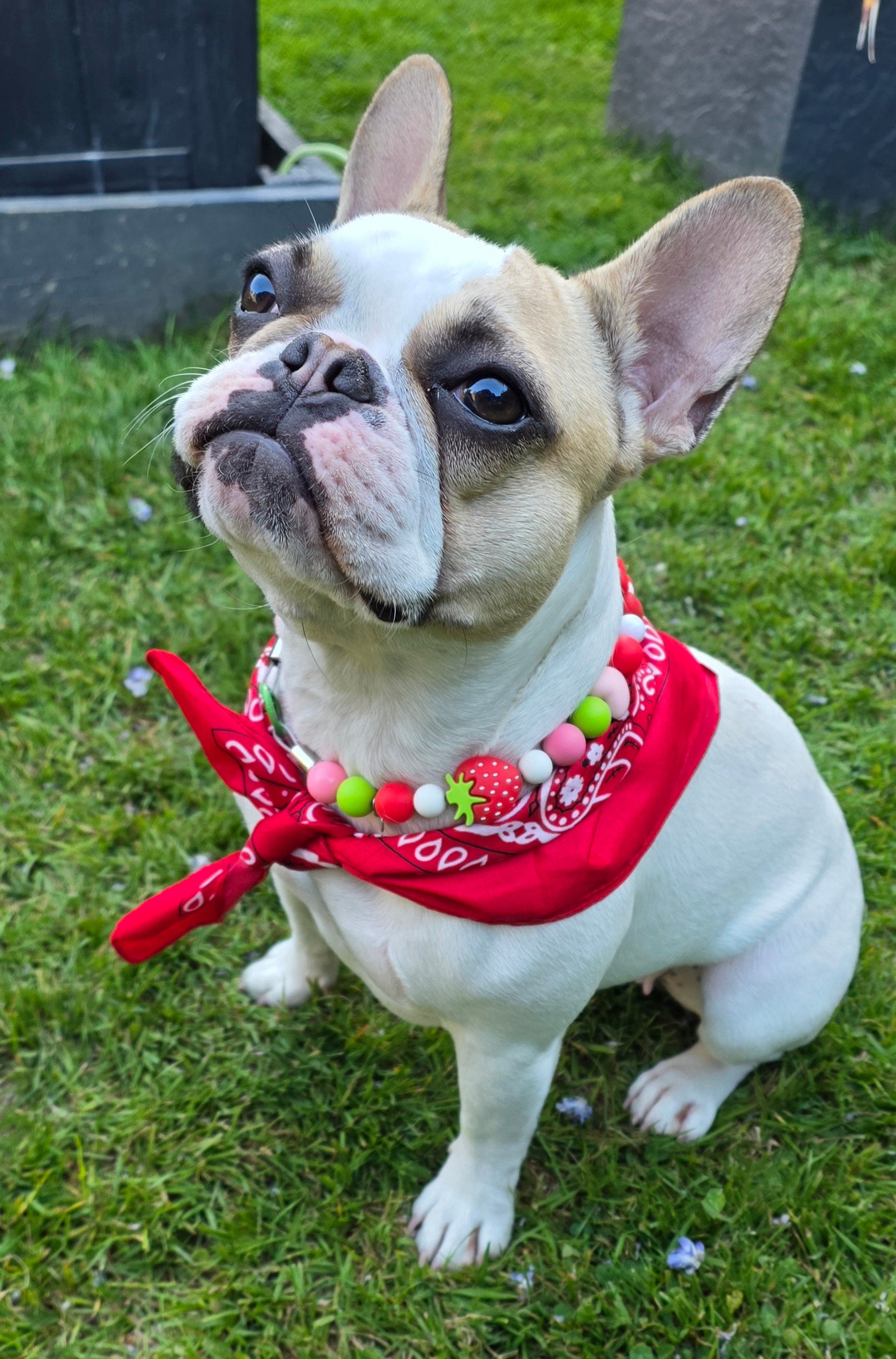 Bandanas Tendance – 20 Coloris