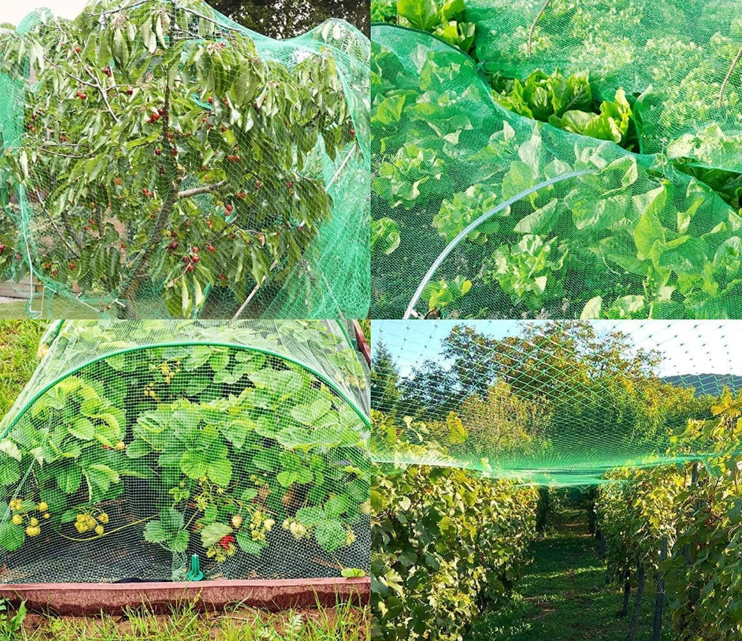 Filet Anti Oiseaux 2m x 15m , Kit de Filets pour Jardin avec 50 Attaches Et 10 Piquets, Polyvalent Filet Protection Fraisier, pour Fruits, Graines, Couverture de Bassin, Clôture de Plantes