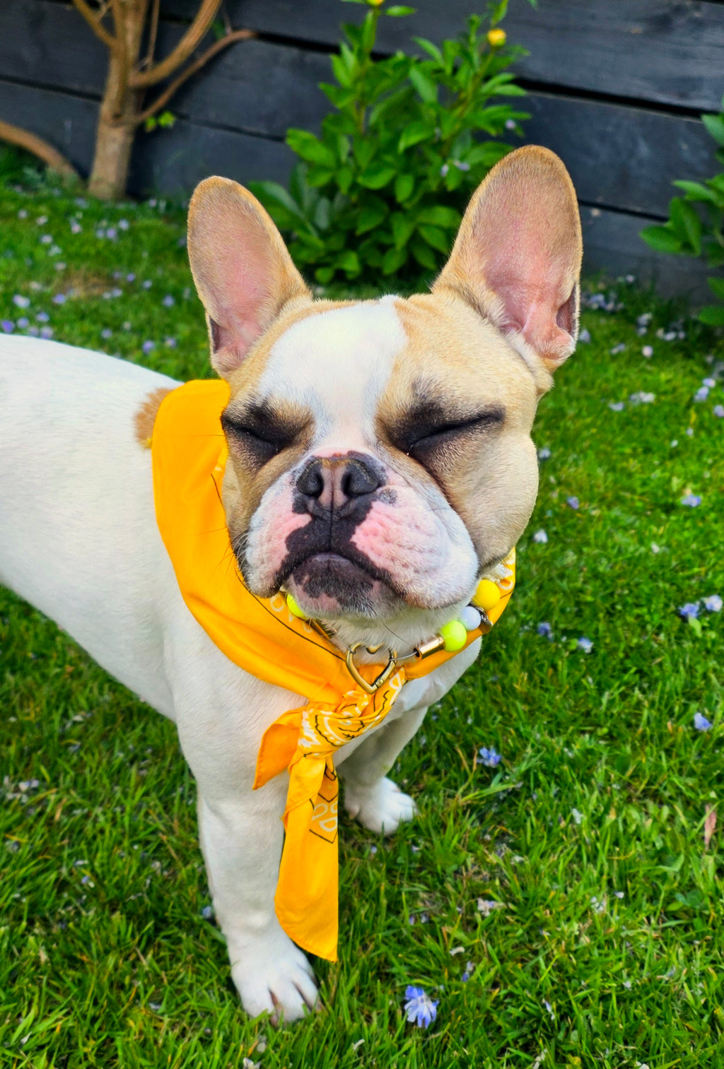 Bandanas Tendance – 20 Coloris